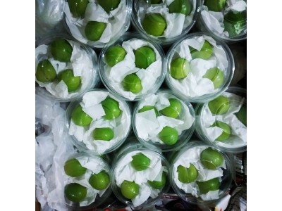 Yeşil Erik (50GR)