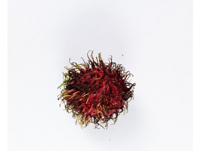 Rambutan (60GR)