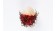 Rambutan (60GR)